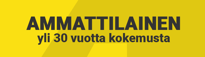 Ammattilainen palveluksessasi