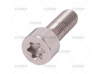 TORX PULTTI - Common Rail muut varaosat - 31600 - 1