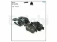 JARRUPALASARJA DELPHI ETU, CITROEN, PEUGEOT - Jarrupalasarjat - LP2101 - 2