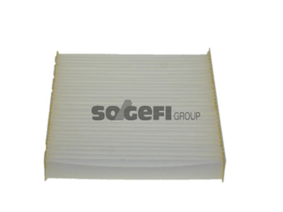 RAITISILMASUODATIN CPF, FORD - Raitisilmasuodattimet - 1483-PC8161 - 1