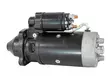 STARTTI PERKINS - Startit - 5200-697163 - 3