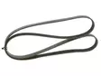 GATES MONIURAHIHNA - Moniurahihnat 6PK - 6PK1693 - 2