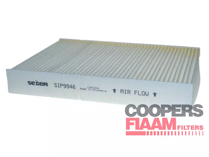 RAITISILMASUODATIN CPF, RENAULT - Raitisilmasuodattimet - 1483-PC8253 - 1