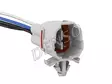 HAPPITUNNISTIN DENSO - Happitunnistimet merkkikohtaiset - DOX-0625 - 2