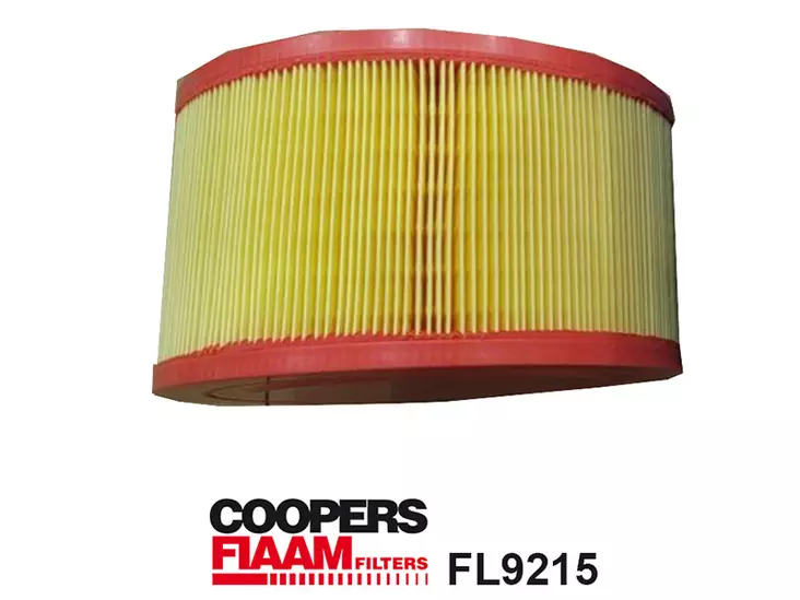 ILMANSUODATIN CPF, FORD RANGER (TKE) - Ilmansuodattimet - 1483-FL9215 - 1