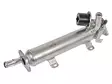 EGR-JÄÄHDYTIN VAG 03L131512B - EGR- venttiilit ja jäähdyttimet - 8260-11057 - 1