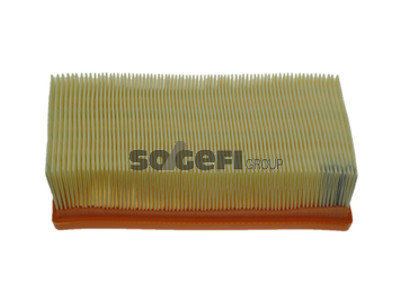 ILMANSUODATIN CPF, RENAULT - Ilmansuodattimet - 1483-PA7478 - 1