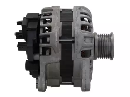 LATURI 125A DACIA,RENAULT - Laturit - F000BL07AUSEG - 1