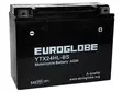 GLOBE AGM 12V 24AH 205X87X162 -/+ 310A (EN) - Euroglobe Mp-akut - 1805-YTX24HL-BS - 1