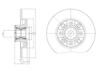JARRULEVY DELPHI, 1 KPL / PKT, TAKA, CITROËN / PEUGEOT - Jarrulevyt - BG9116RS - 1